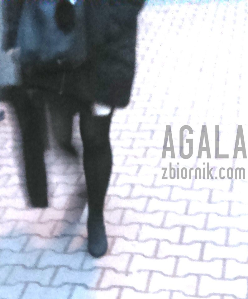 DSC_9102cz.jpg - AGALA