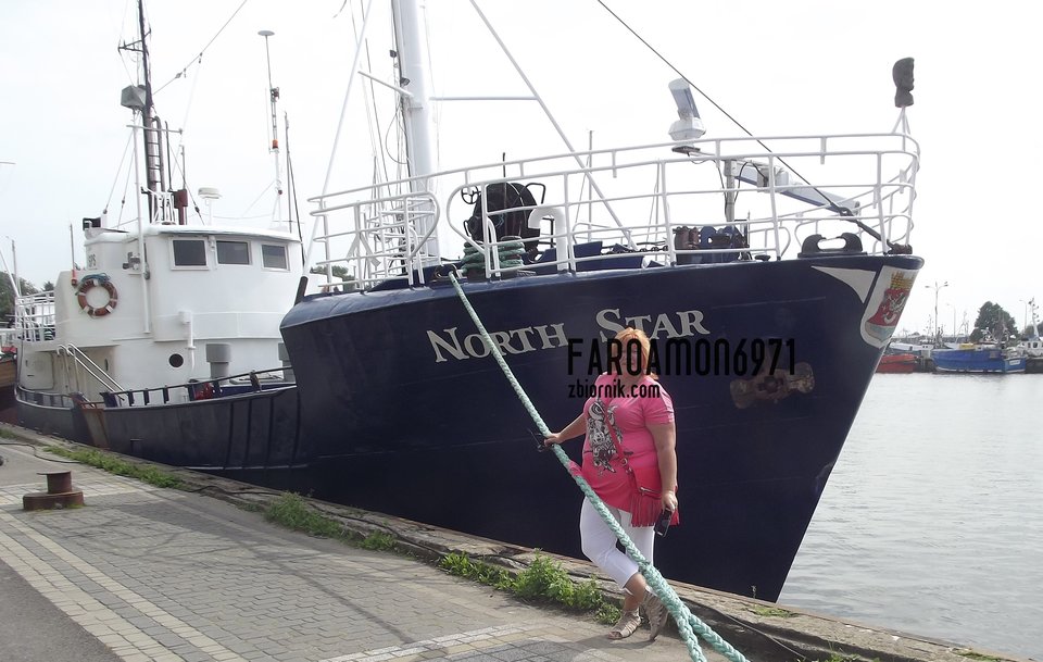 polnocna gwiazda .jpg - faroamon6971