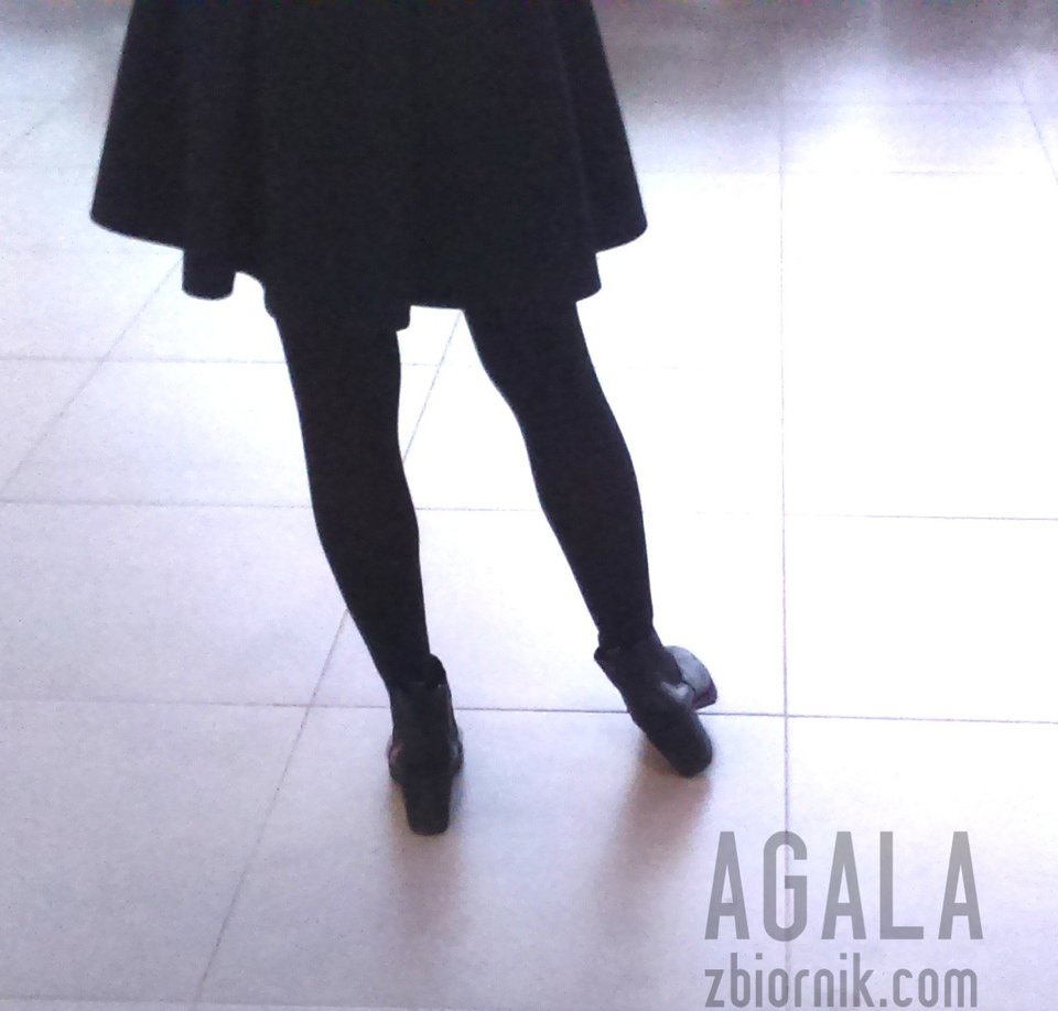 DSC_9131cz.jpg - AGALA