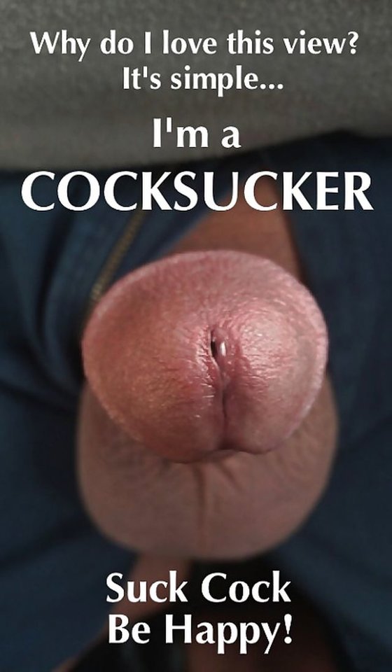 307_1000.jpg - Tgirl_sissy_SLUT