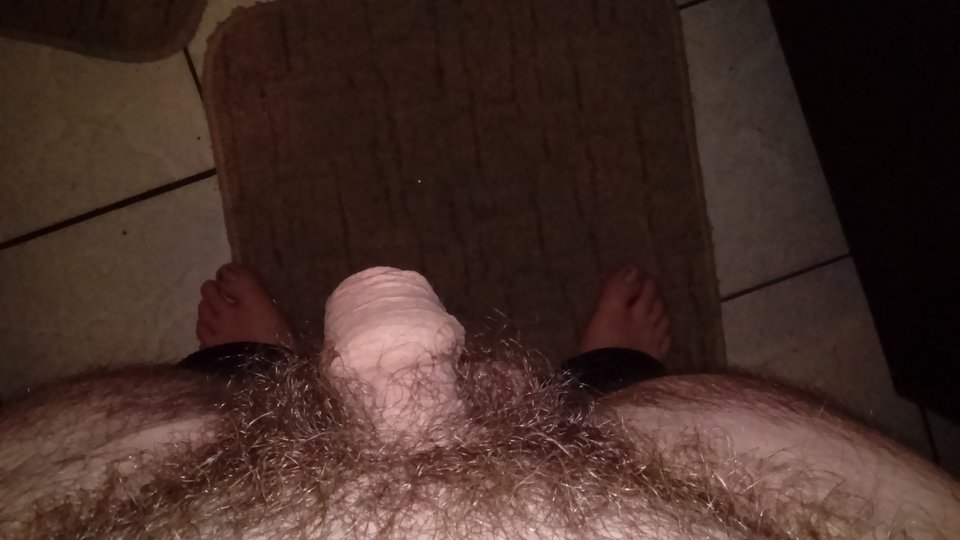 DSC_0384.JPG - roomster2012