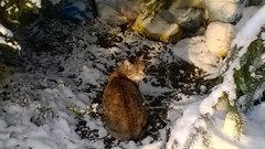 Co się patrzysz? Mokro, zimno, śnieg