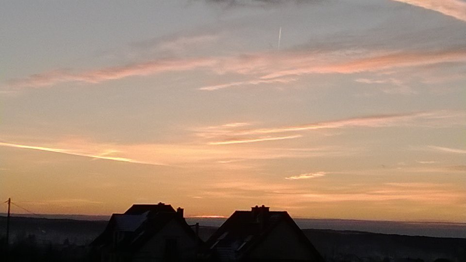 WP_20161129_044.jpg - Ratl
