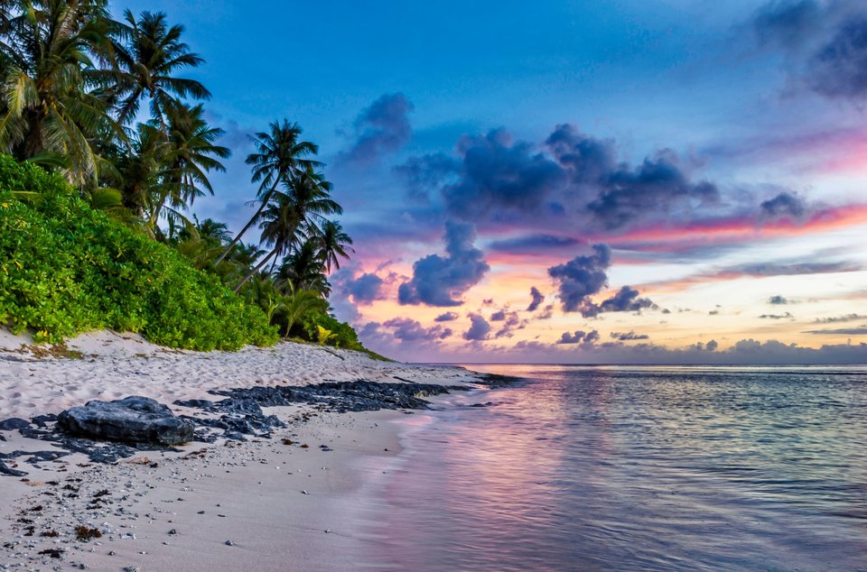 tropical-beach-1454007190ZAK.jpg - zbiornikowicze