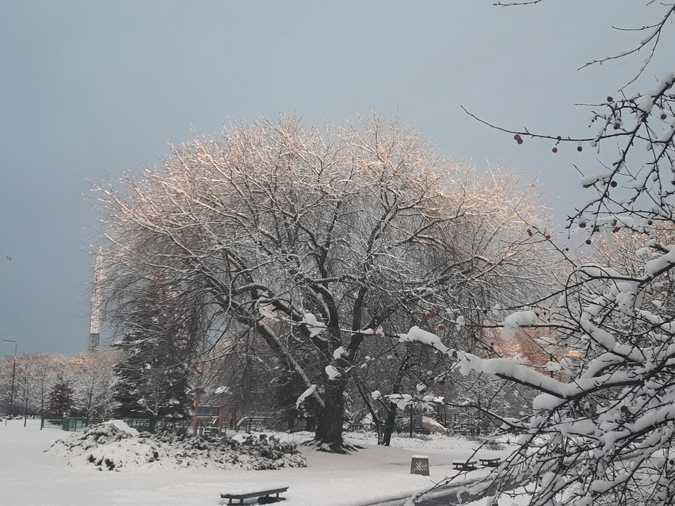 jest słońce...;))) - arczi_68