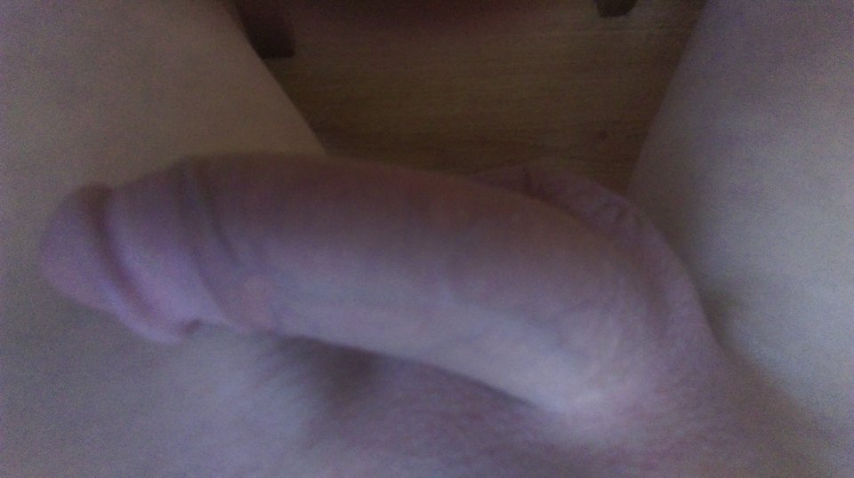 IMAG0733.jpg - Zeber7