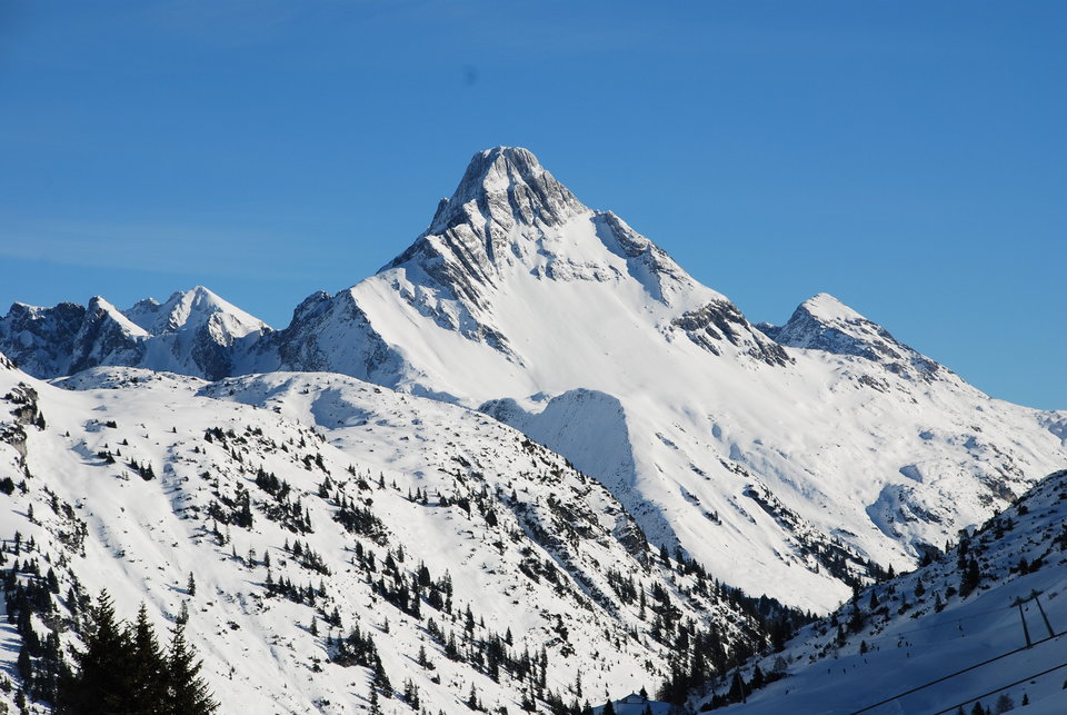 DSC_3037.JPG - kotyramo