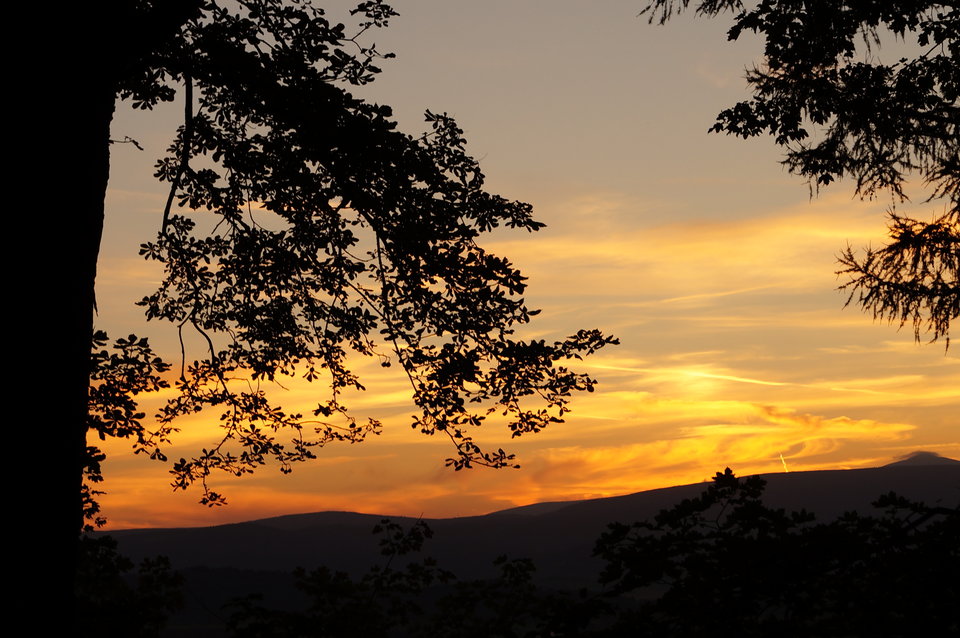 1 (223).JPG - piter 28