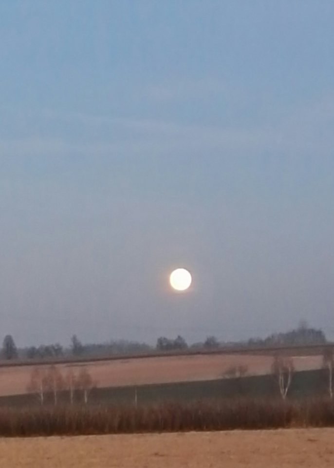 IMG_20161215_154020.jpg - podniecony111