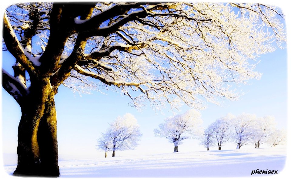jest zimno bo jest zima , hmmm no będzie za chwilę ... hehe - phenisex
