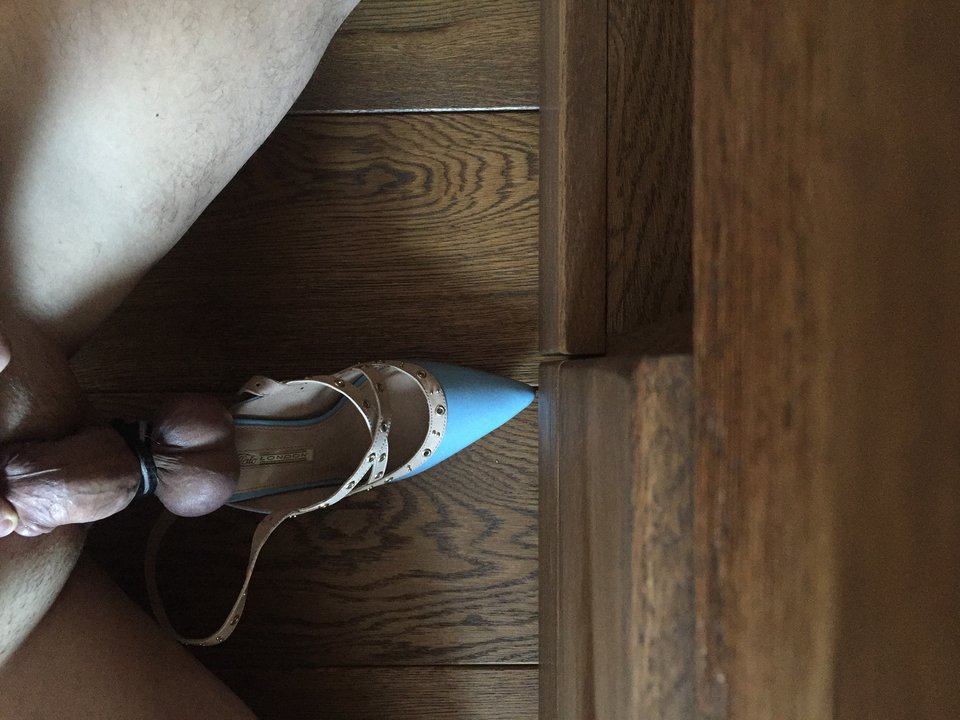 Która Pani chce zmiażdżyć? - cuckold_femdom