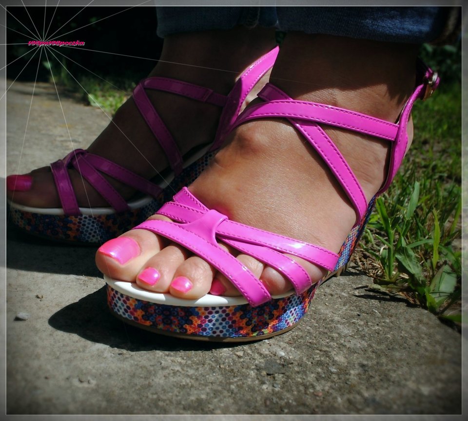 Amarantowe Koturny #40 - 100pa100peczka