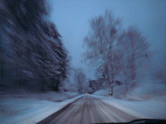 DSC00056.JPG