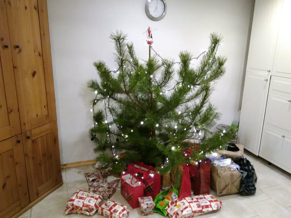 IMG_20161224_190127.jpg - realny1