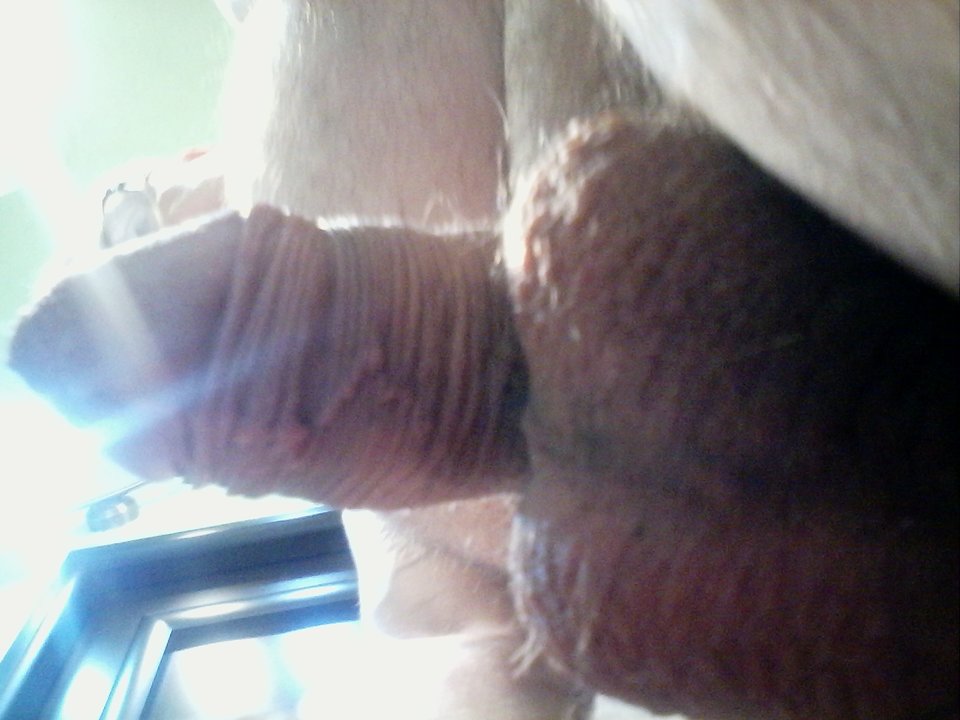 IMG_20161225_080730.jpg - matuzalem000