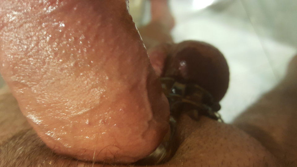 20161226_090046.jpg - pawelbydg