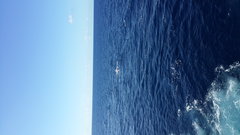 20161228_093524.jpg