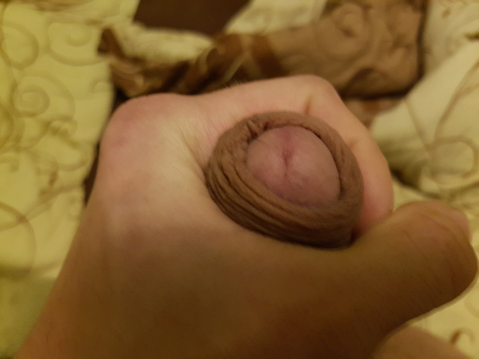 20161228_220846.jpg - pepe85on