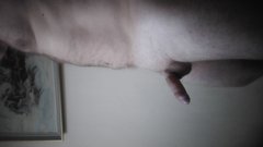 DSC_0577.JPG