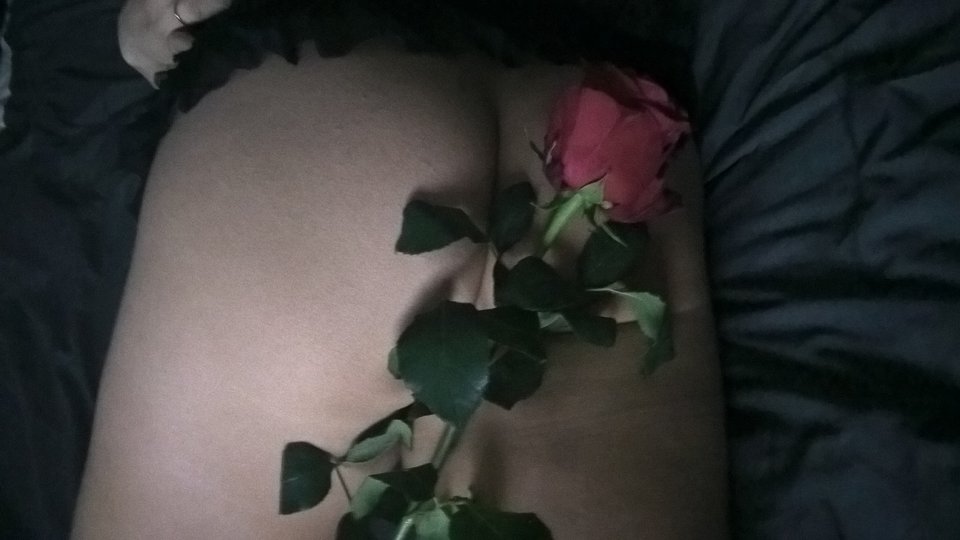 roza 022.jpg - parkapromyk