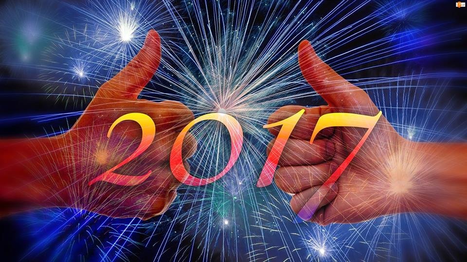 15823217_1352747248100521_7961290765301108762_n.jpg - gocha04