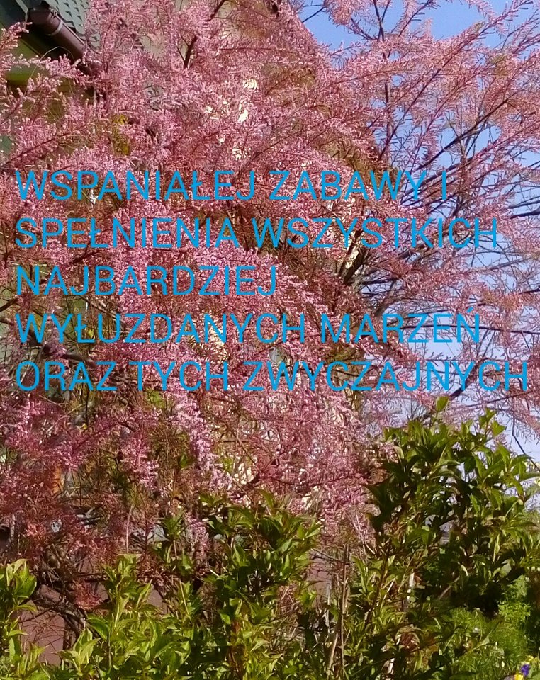 IMG_20161231_190211.JPG - love111