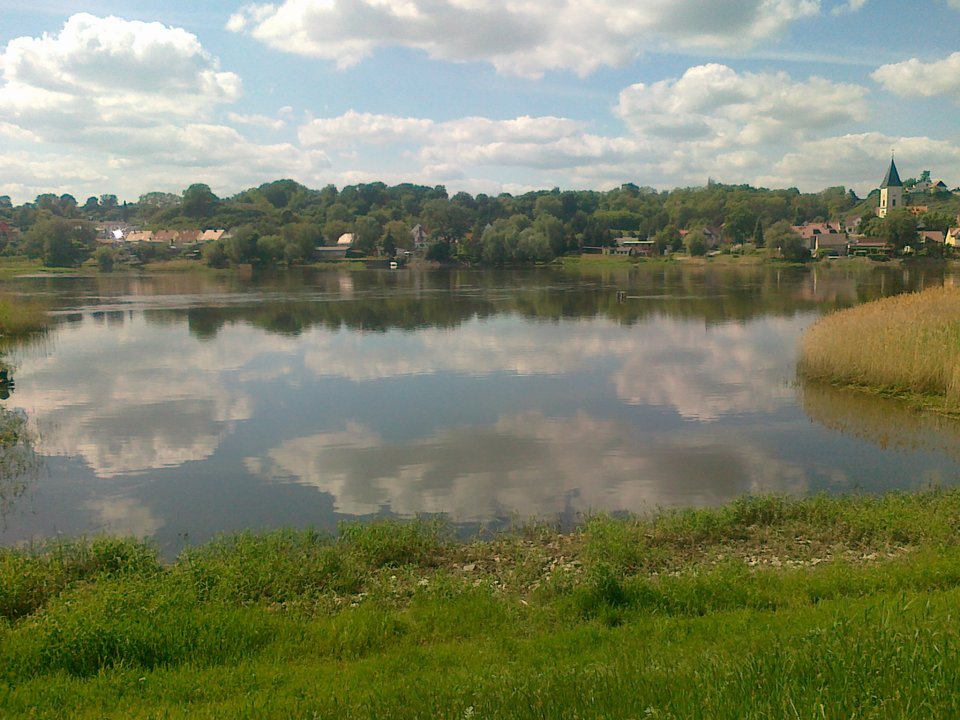 Kuszacy widok - Kamilia