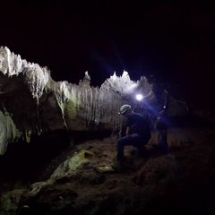 11188238_10153297522777787_8397046654228365036_n.jpg
