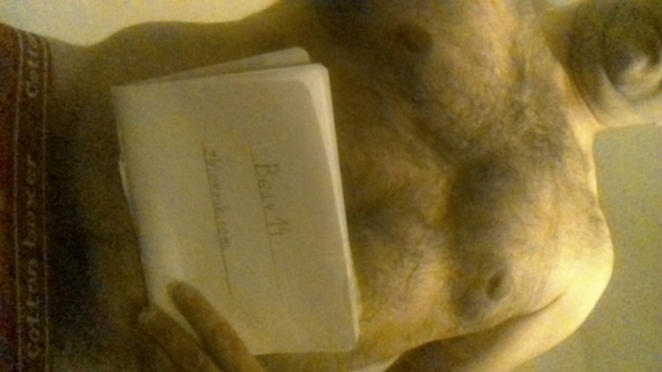 WIN_20170105_16_56_36_Pro.jpg - Bear14