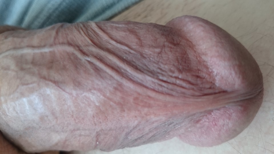 DSC_0017.JPG - pokazywaki