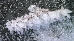 WP_20170108_016 - Kopia.jpg