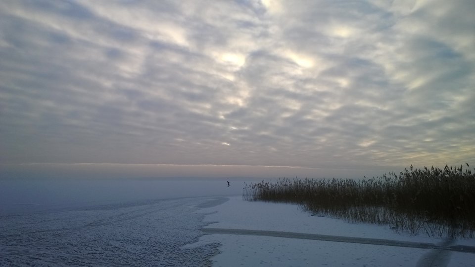 WP_20170108_009.jpg - Ratl