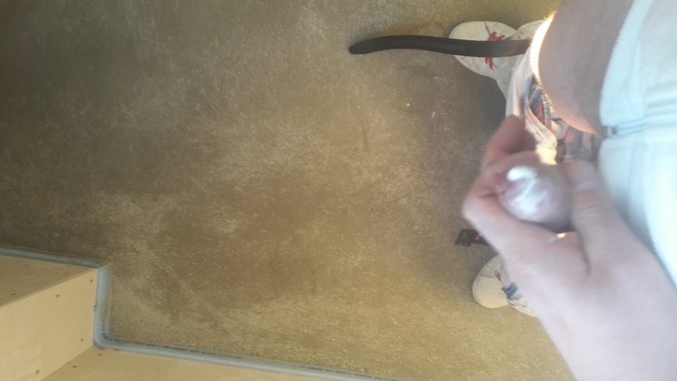 1484058933202628117745.jpg - tomax24