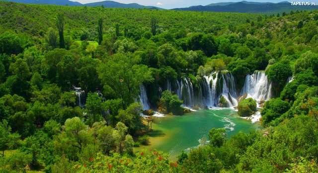 PUSZYSTA_KOTKA_WYSOKI_PAN