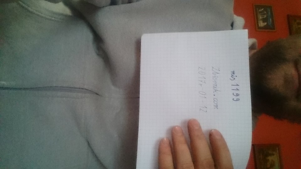 1484230942784241197523.jpg - mis1199