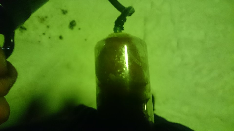 DSC_3782.JPG - RATCVAC