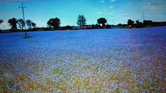 Kolorowy świat .jpeg