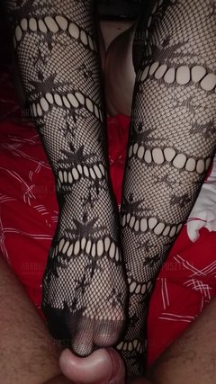 240_1000.jpg