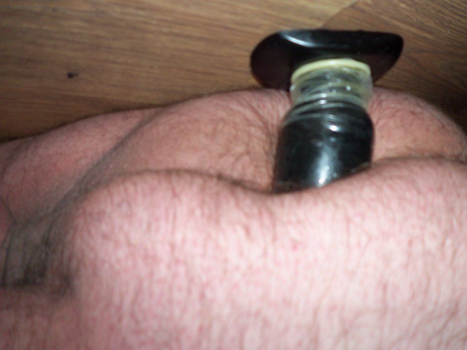 KORECZEK W TYŁKU - Kamilia