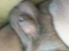 MAŁY KUTASEK,DUZE JAJA