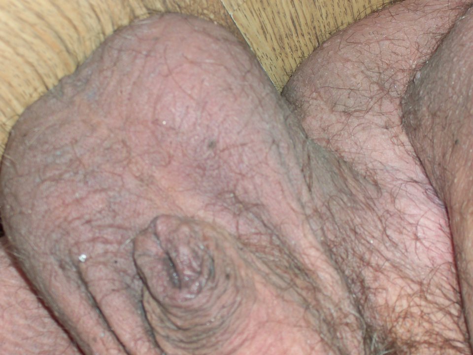 100_1379.JPG - Kamilia