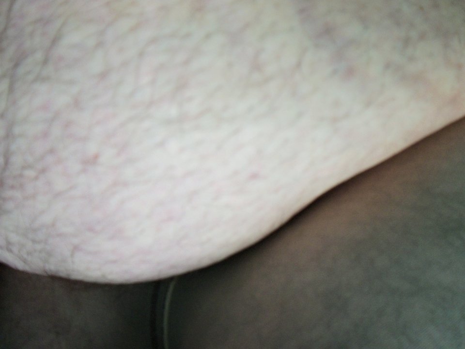 100_1355.JPG - Kamilia