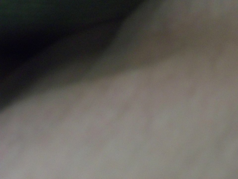 100_1377.JPG - Kamilia