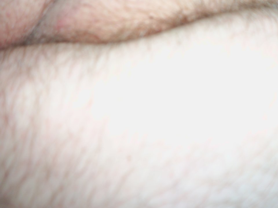 100_1532.JPG - Kamilia