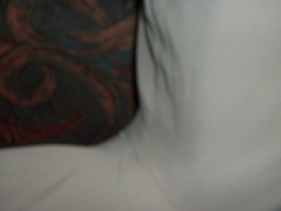 100_1442.JPG - Kamilia