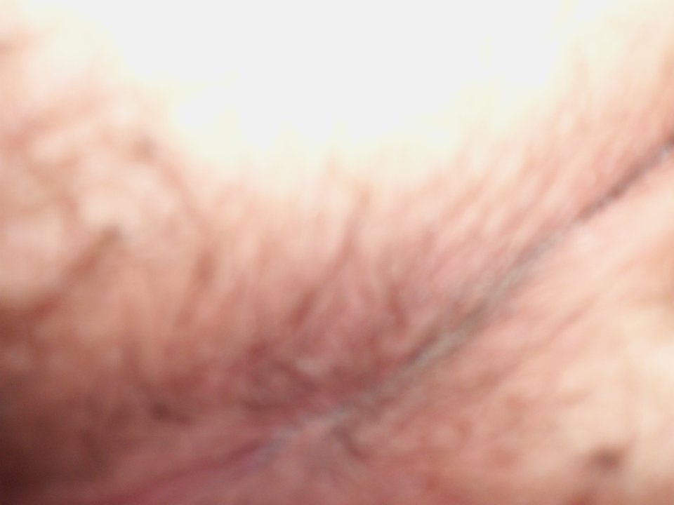 100_1255.JPG - Kamilia