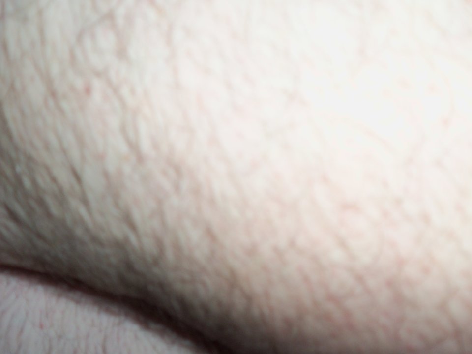 100_1553.JPG - Kamilia