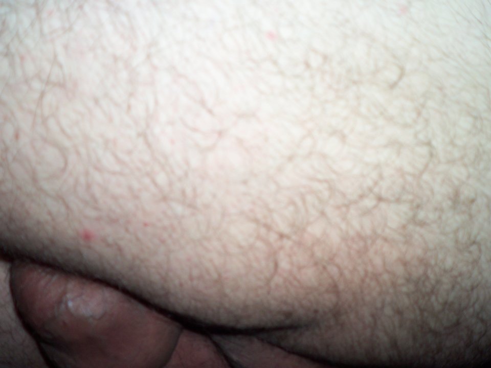 100_1551.JPG - Kamilia