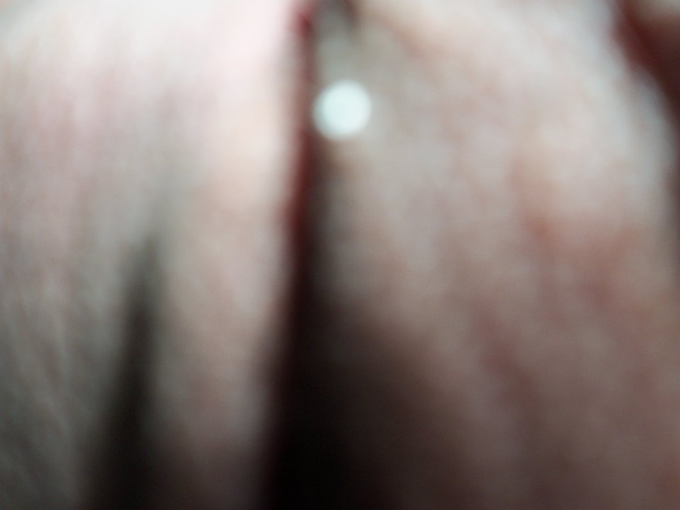 100_1493.JPG - Kamilia