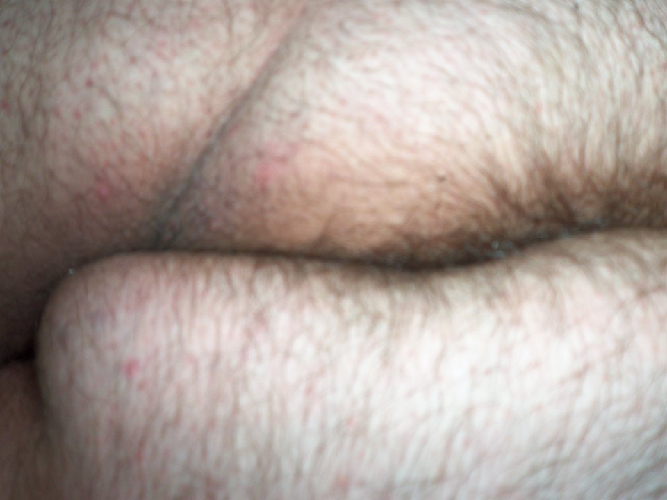 100_1529.JPG - Kamilia